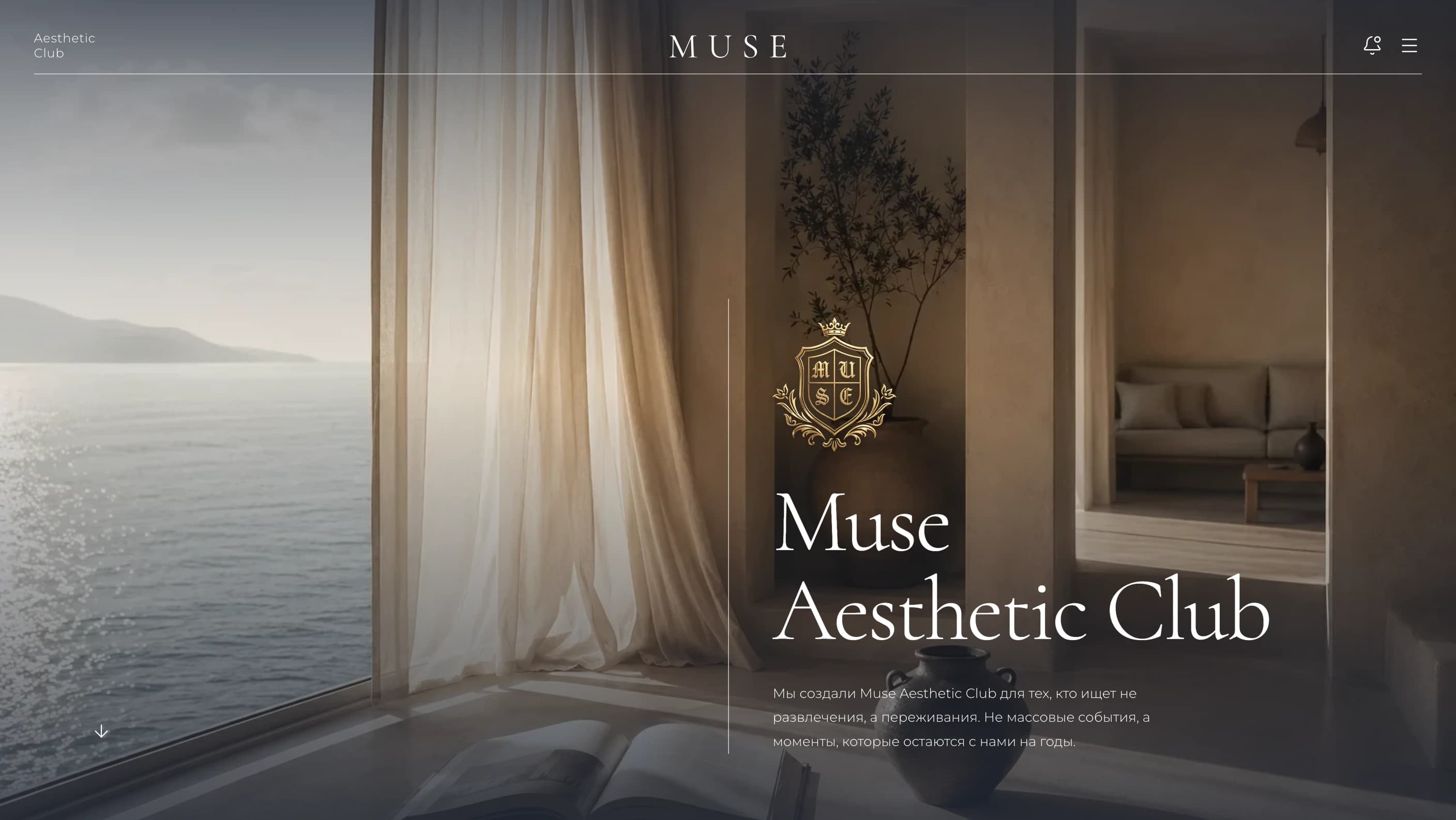 Website for Muse Aesthetic Club — Events & Travel